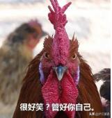 00后所谓的缩写逼疯90后,00后90后80后70后简称