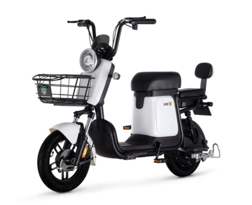 绿源电动自行车2021年新品,电动自行车品牌排行榜前十名
