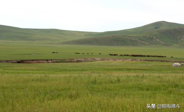 期货日内之王,期货真正的日内高手