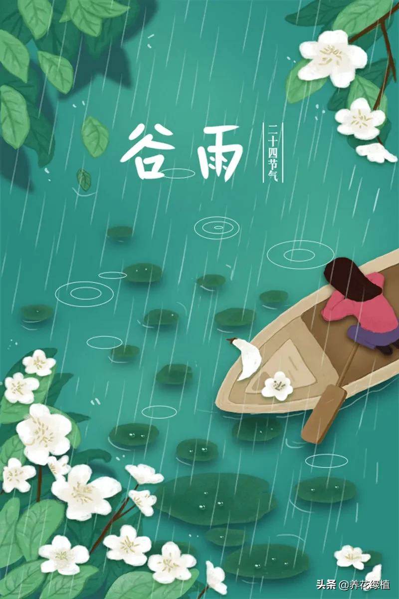 谷雨是什么节呢,谷雨节盛行的习俗