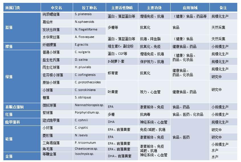 微藻的生物应用前景与展望,微藻产业化关键技术有哪些