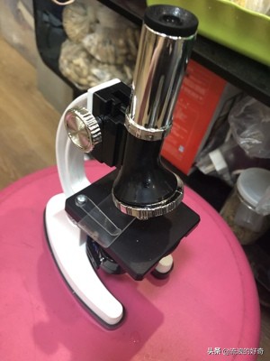 可看细胞显微镜开箱,买哪个便携式显微镜可看细胞