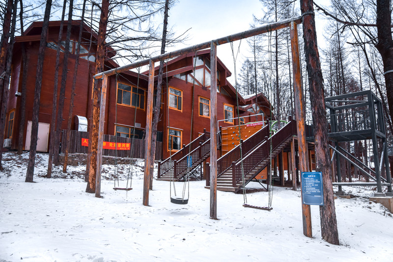 冰雪总动员简介,冰雪总动员