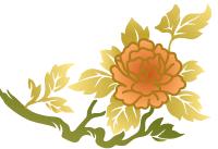 邹晓丽老师：《红楼梦》中的诗词（五）