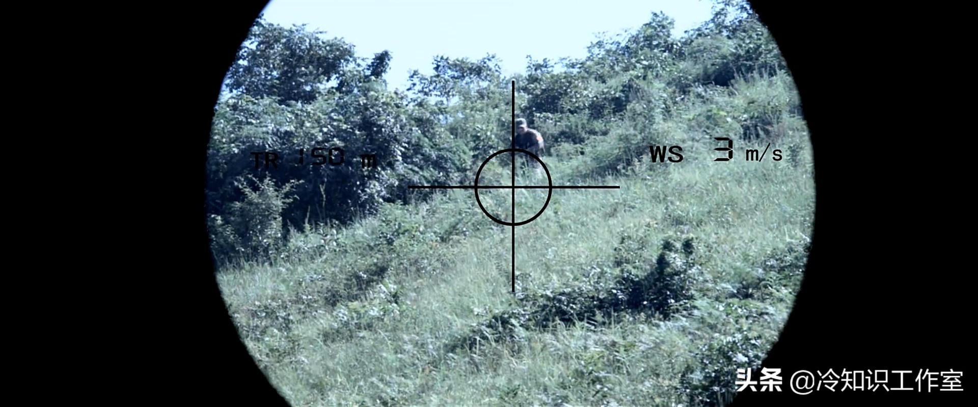 战狼二解说介绍枪械,战狼2枪械训练视频