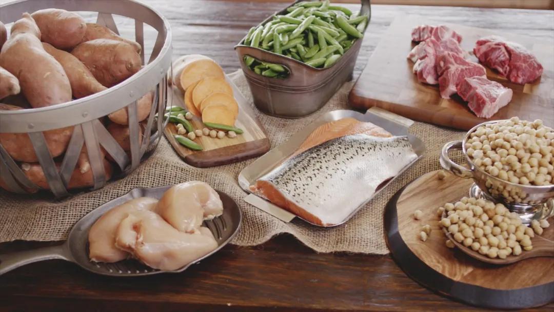 美国宠粮卡比主推鲜肉涂层高端新品，发力国内市场