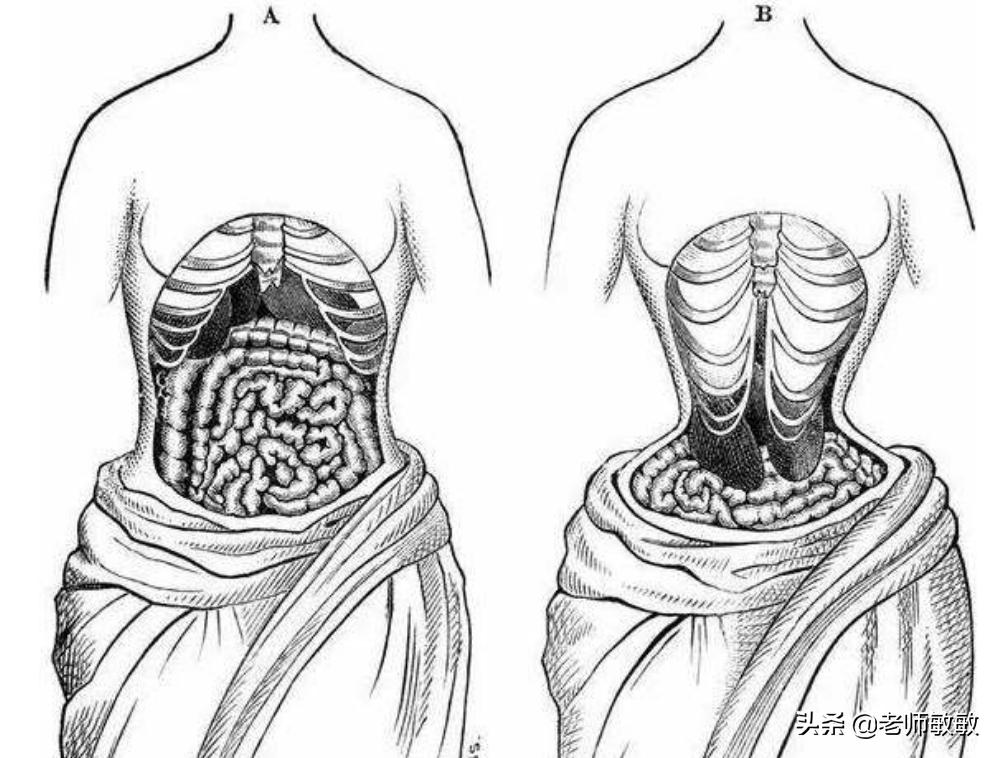 我支持CK用大码模特，审美到底该不该有标准？