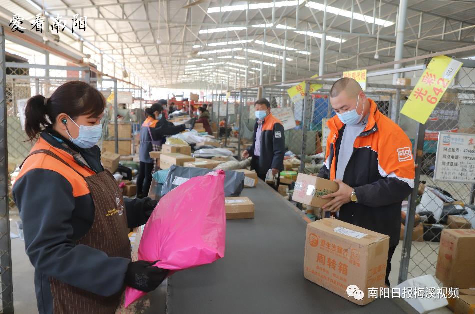 爱看南阳㉘初冬·暖阳依旧