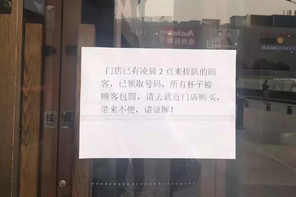 星巴克猫爪杯为何热销,星巴克抢购猫爪杯