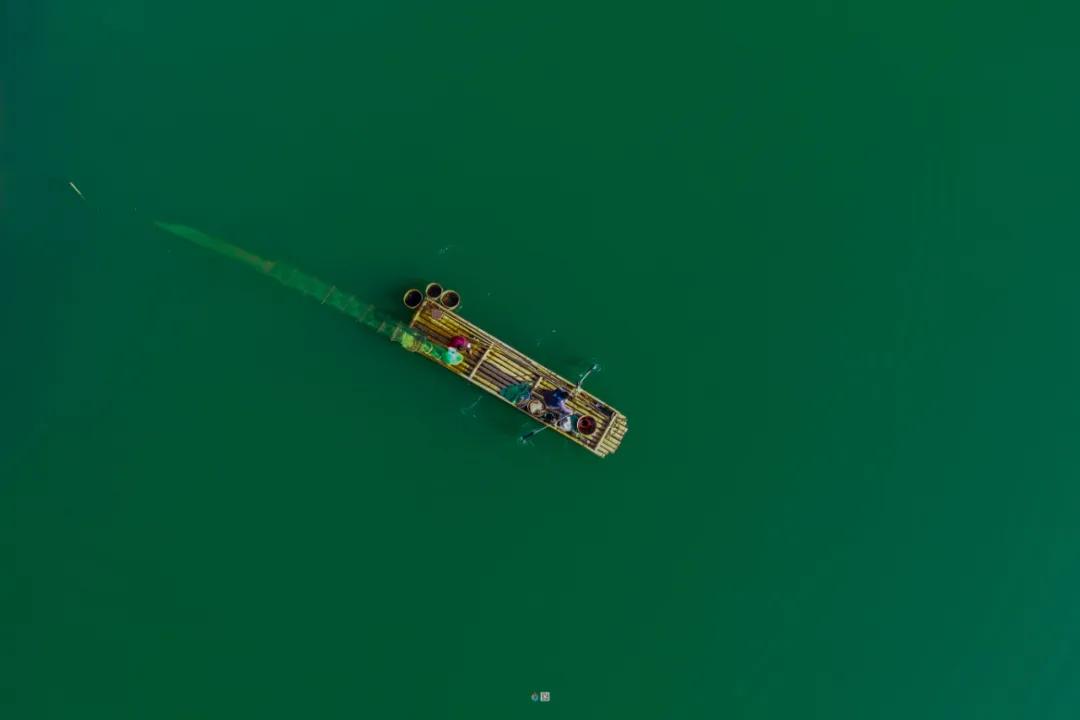 这是一个生机勃勃的地方关于它的故事才刚刚开始