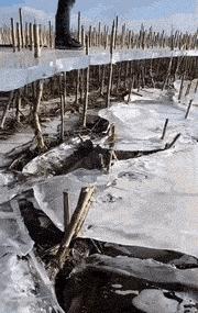 微胖渐欲迷人眼分分钟缴械投降的动态图