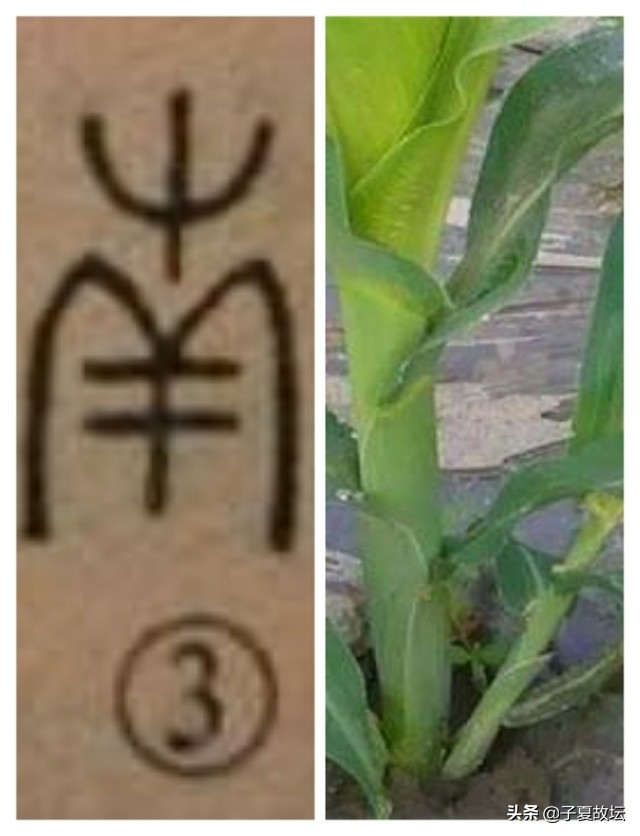 表示方位的汉字什么意思,东南西北这四个字还有别的意思吗