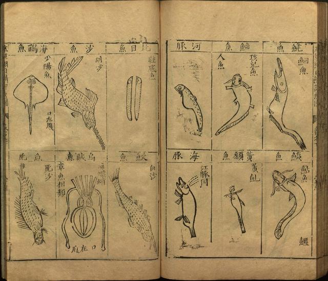 李时珍本草纲目书目录,李时珍本草纲目下卷