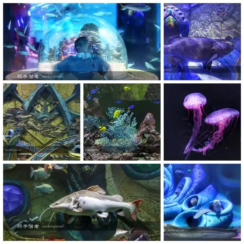 三亚亚特兰蒂斯水世界游玩路线,三亚亚特兰蒂斯水上乐园游玩项目