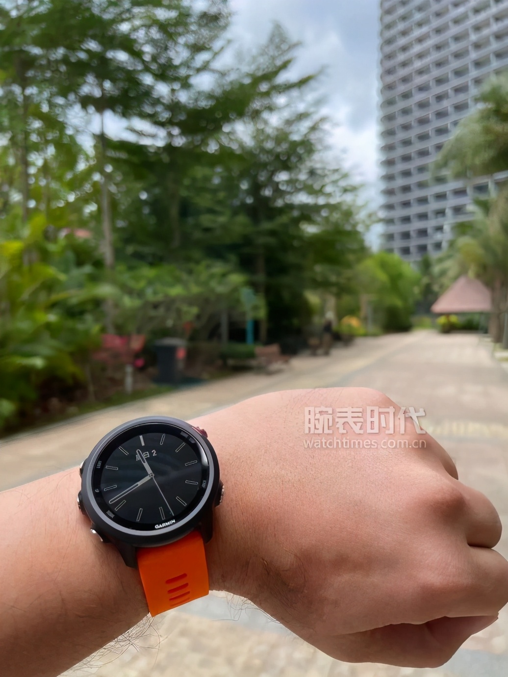 爱彼劳力士推荐,劳力士对比爱彼