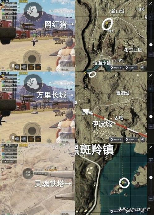 和平精英打卡地点情侣必去,和平精英特训岛的玫瑰花在哪