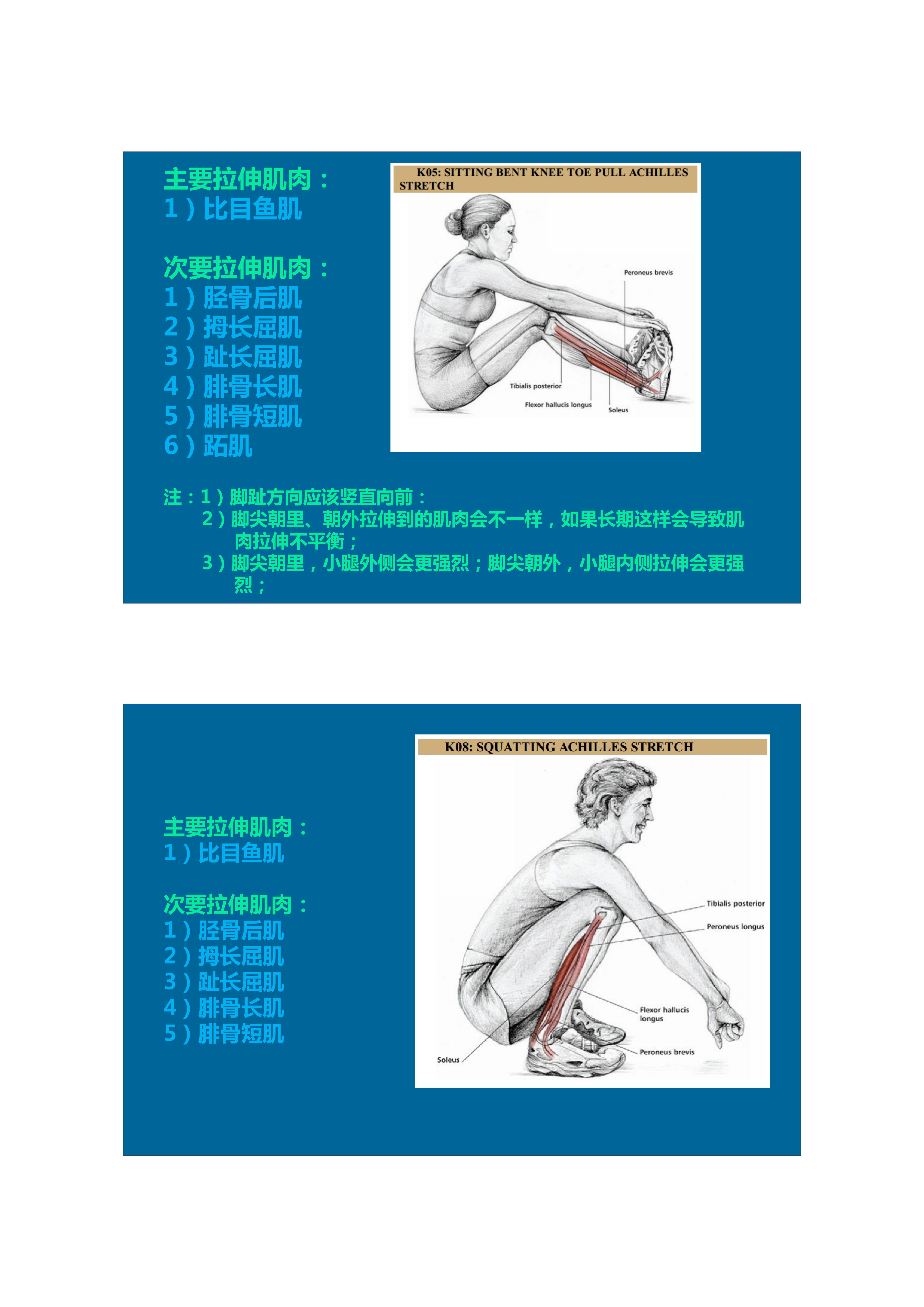 1分钟拉伸动作视频,拉伸腿部技巧