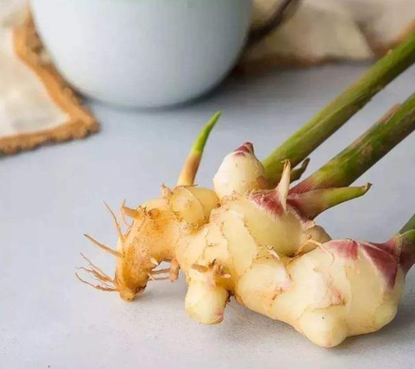 在家阳台种生姜对风水运气好不好,家庭阳台种生姜影响风水吗