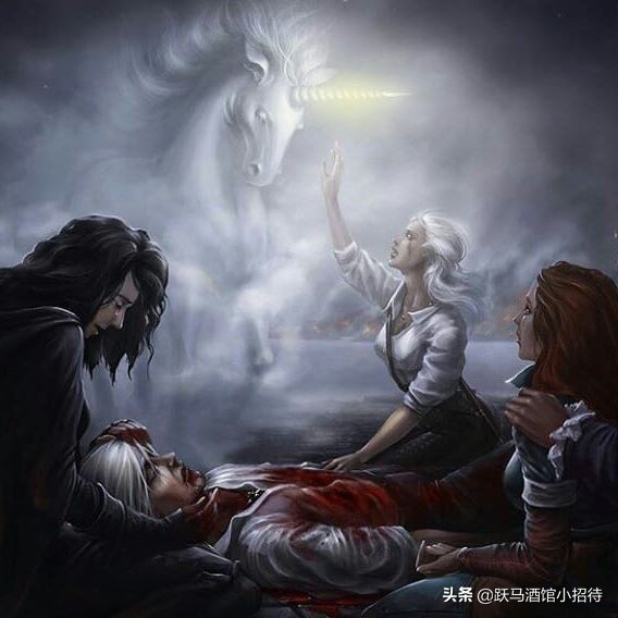 巫师故事全系列解析,巫师进化史全过程