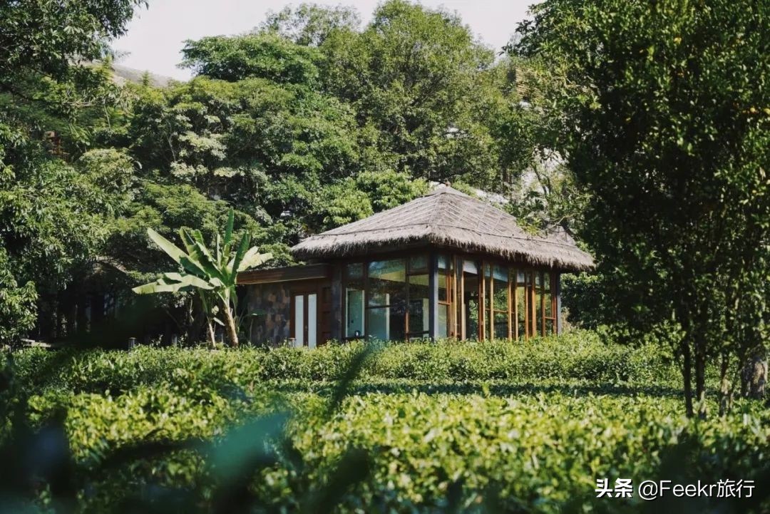 被刘昊然种草的云南小城，全网0攻略，我们花不到2k就逛吃6天