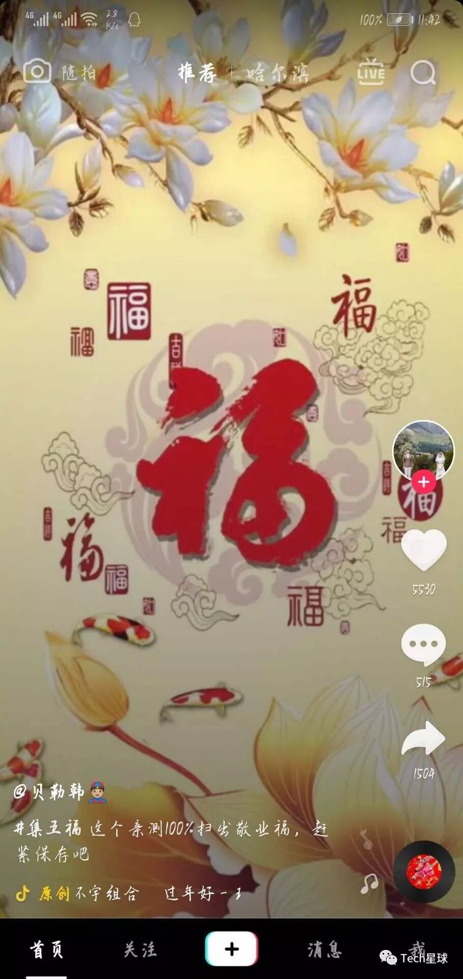 春节里如何正确地薅羊毛？看这一篇就够了