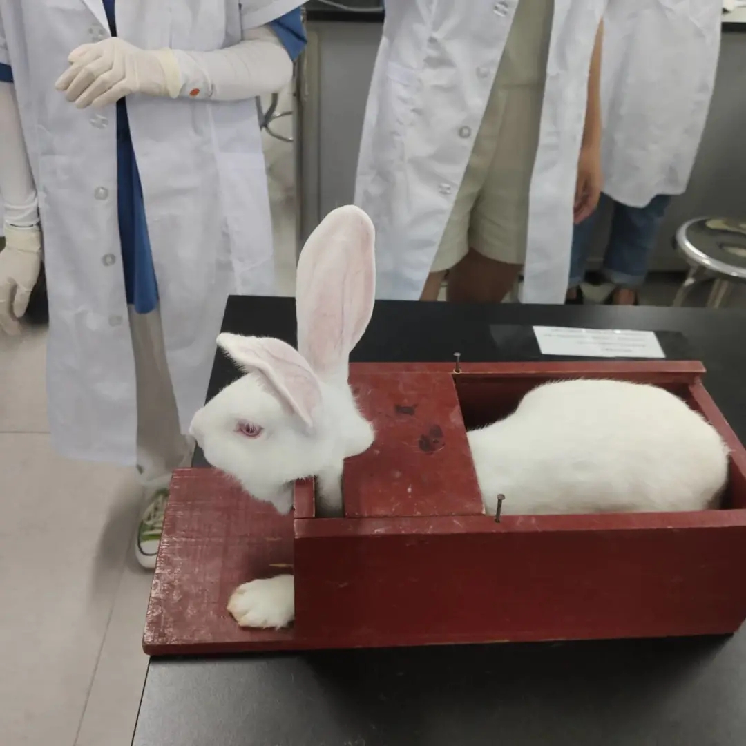 医学生学习打卡做题,医学生学习成果检验视频