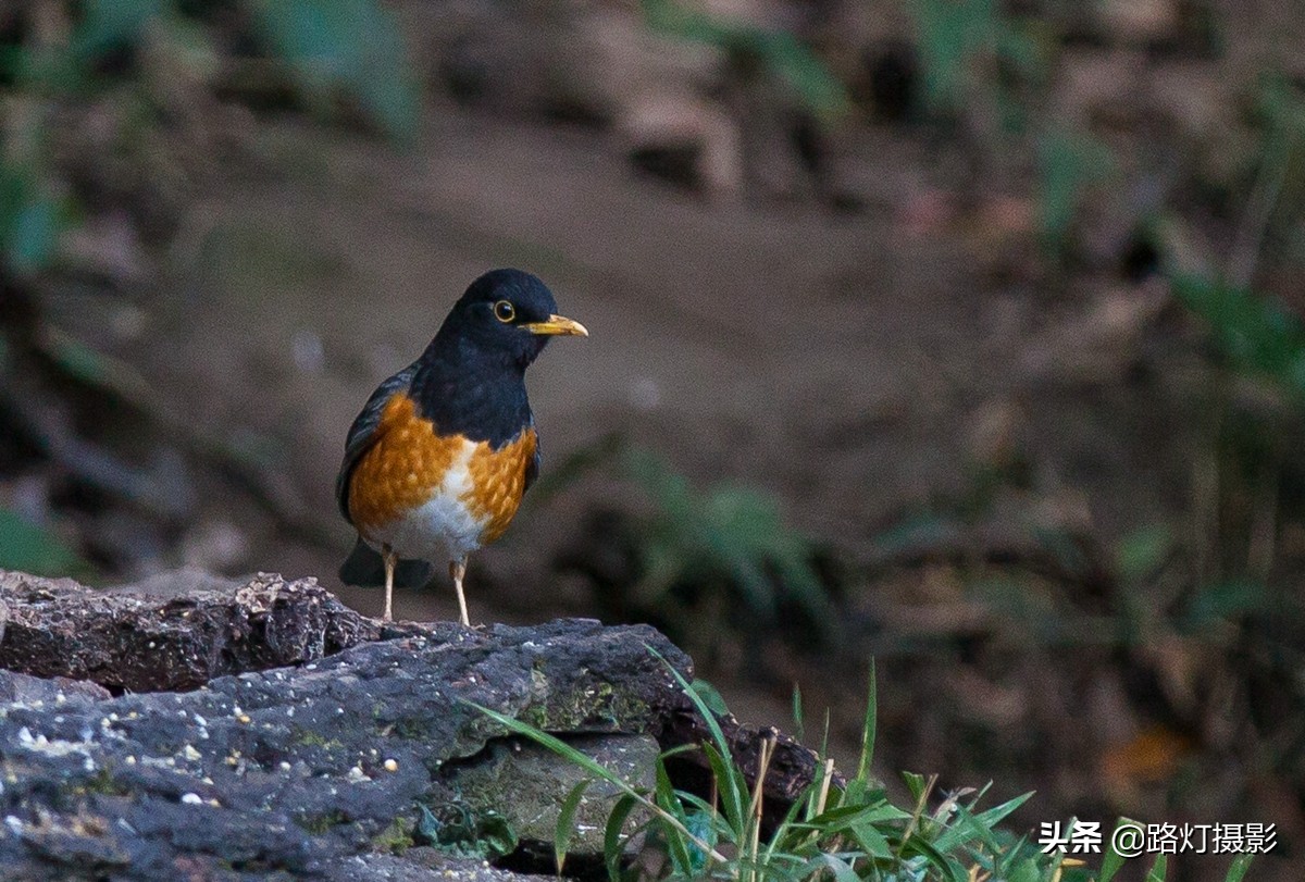 国内最值得去的小众旅游的地方,国内有品位又小众的几个旅游地方
