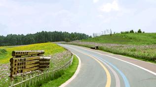 双流空港花田最新进展,双流空港花田开放了吗最新回复