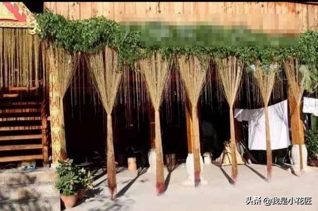 适合阳台种植的爬藤植物都有哪些,家庭阳台种什么爬藤植物比较好