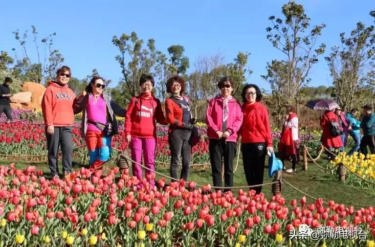 太热闹！弥勒花海、人海、车海、舞海...这些人上镜了！