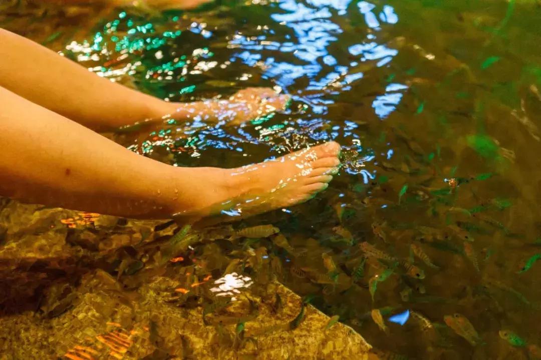 天津河西区刘老根,刘老根天津游玩