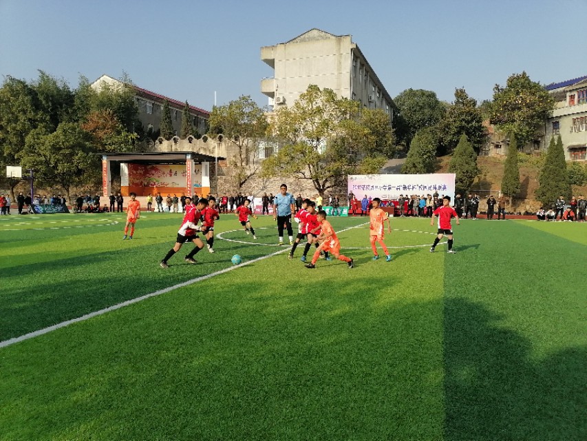茶陵县足球联赛,茶陵城西小学足球赛