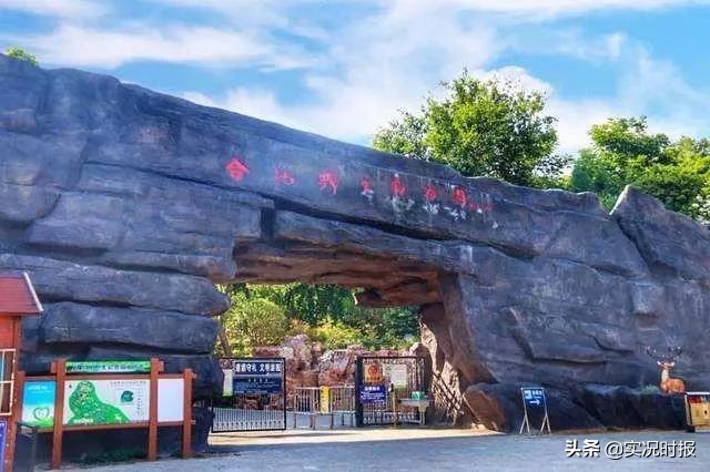 重庆主城野生动物园,重庆动物园最新规划