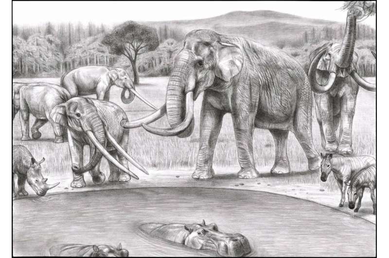 一万年前，史前大象被人类吃到灭绝？研究人员表示这个锅人类不背
