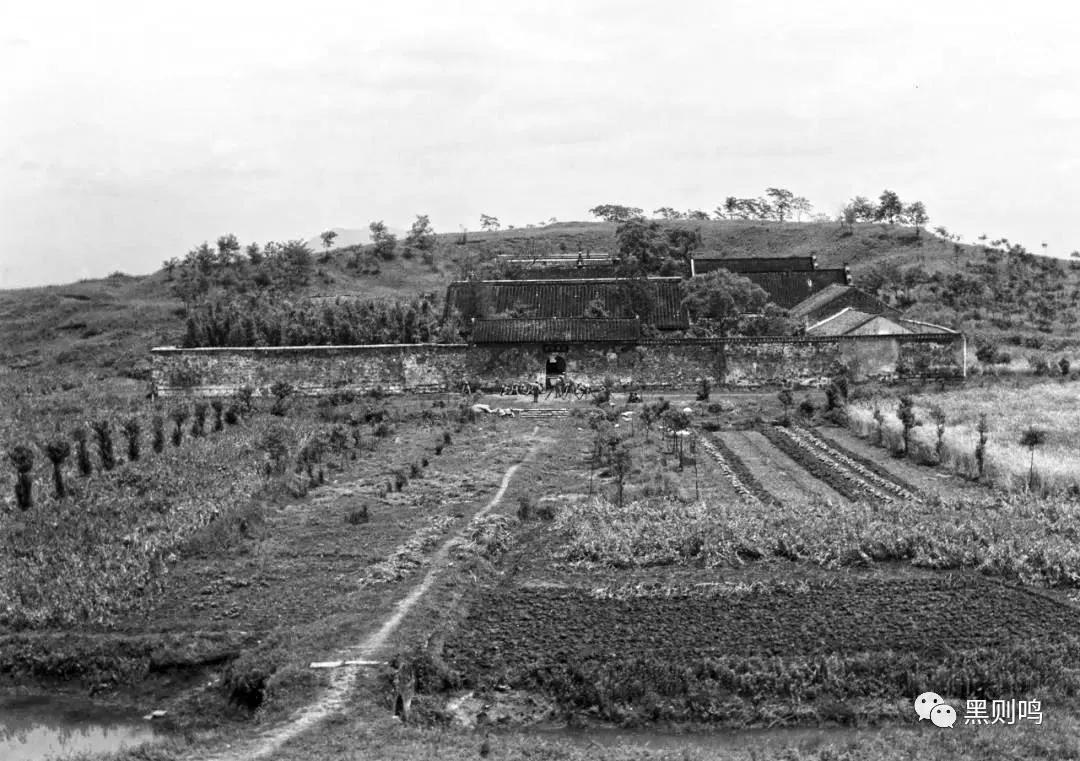 1934年的南京城,1944年南京视频