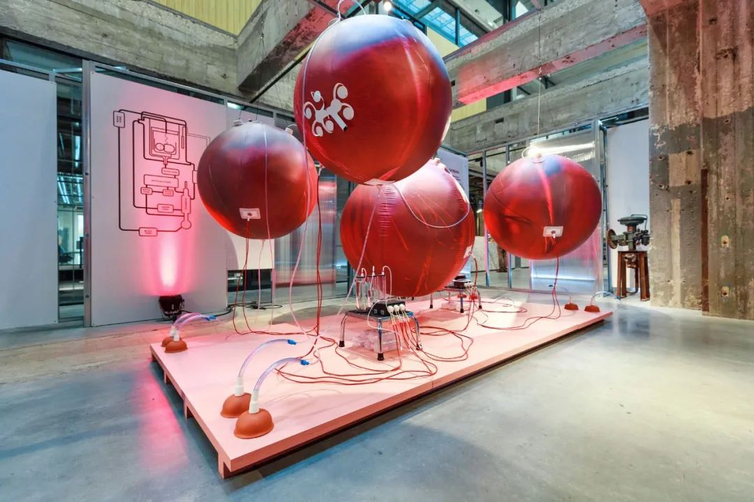 现在人造子宫成熟了吗,人造子宫是否会在2025年成功