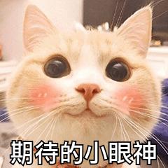 教育部最新放假通知天津,天津关于开学的最新通知