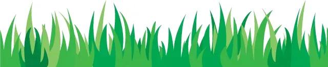 足球—「002」威尼斯vs萨勒尼塔纳「006」西班牙人vs毕尔巴鄂竞技