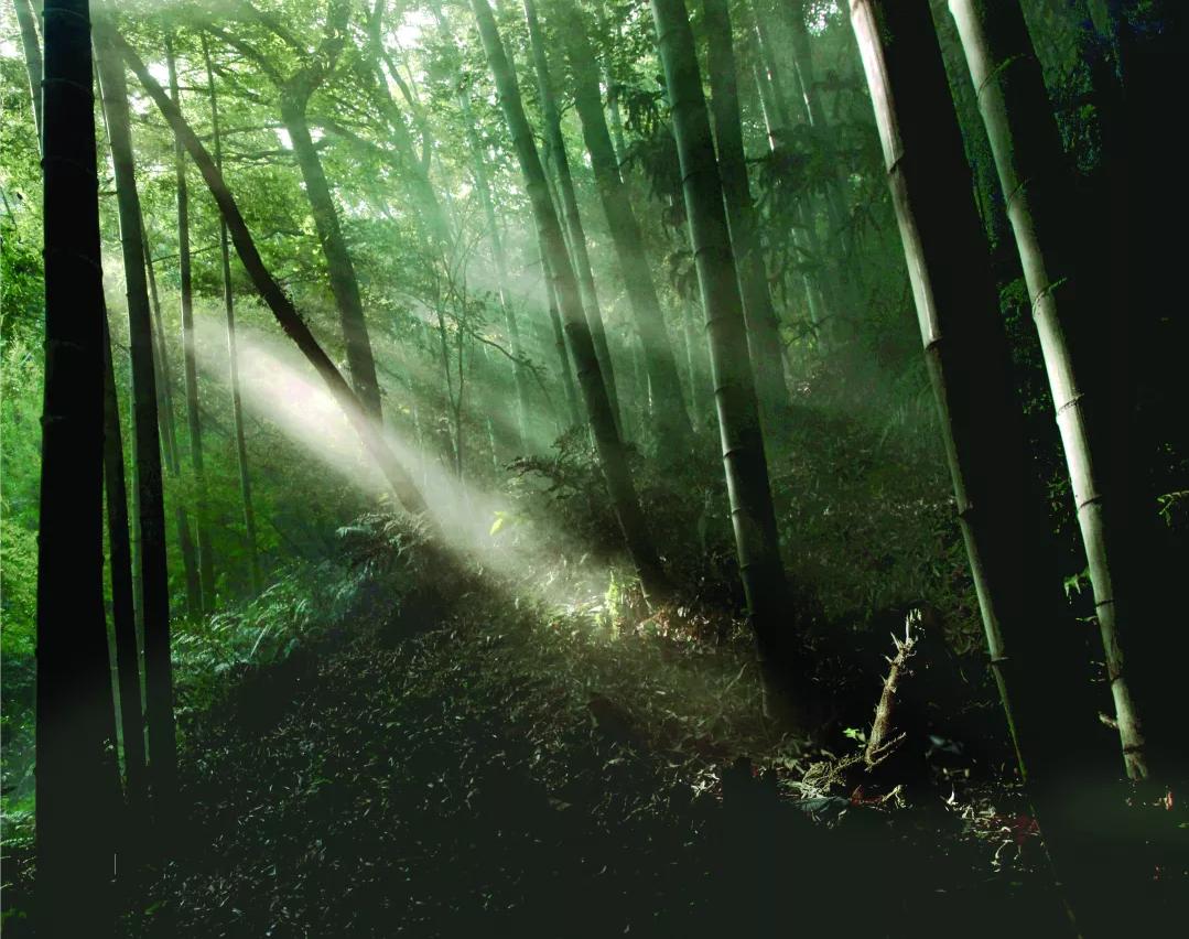 苏州东山景区攻略图高清,苏州东山风景区游玩攻略图片高清