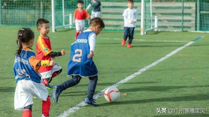 雏鹰宝贝幼儿园足球,足球特点示范幼儿园如何实施