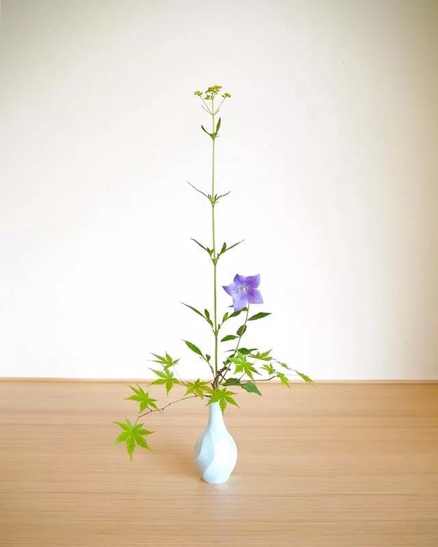 一花一世界一叶一菩提本来无一物,一花一世界一叶一菩提一场梦