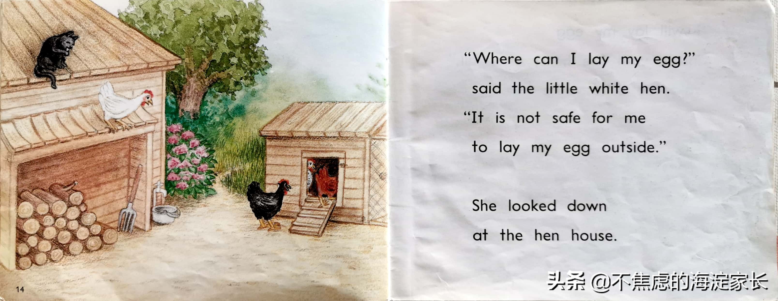 二年级新西兰本土读物,新西兰一年级小学生读物