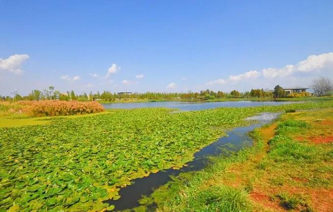 昆明五大免费景点游玩指南全攻略,昆明旅游必看景点有哪些免费的