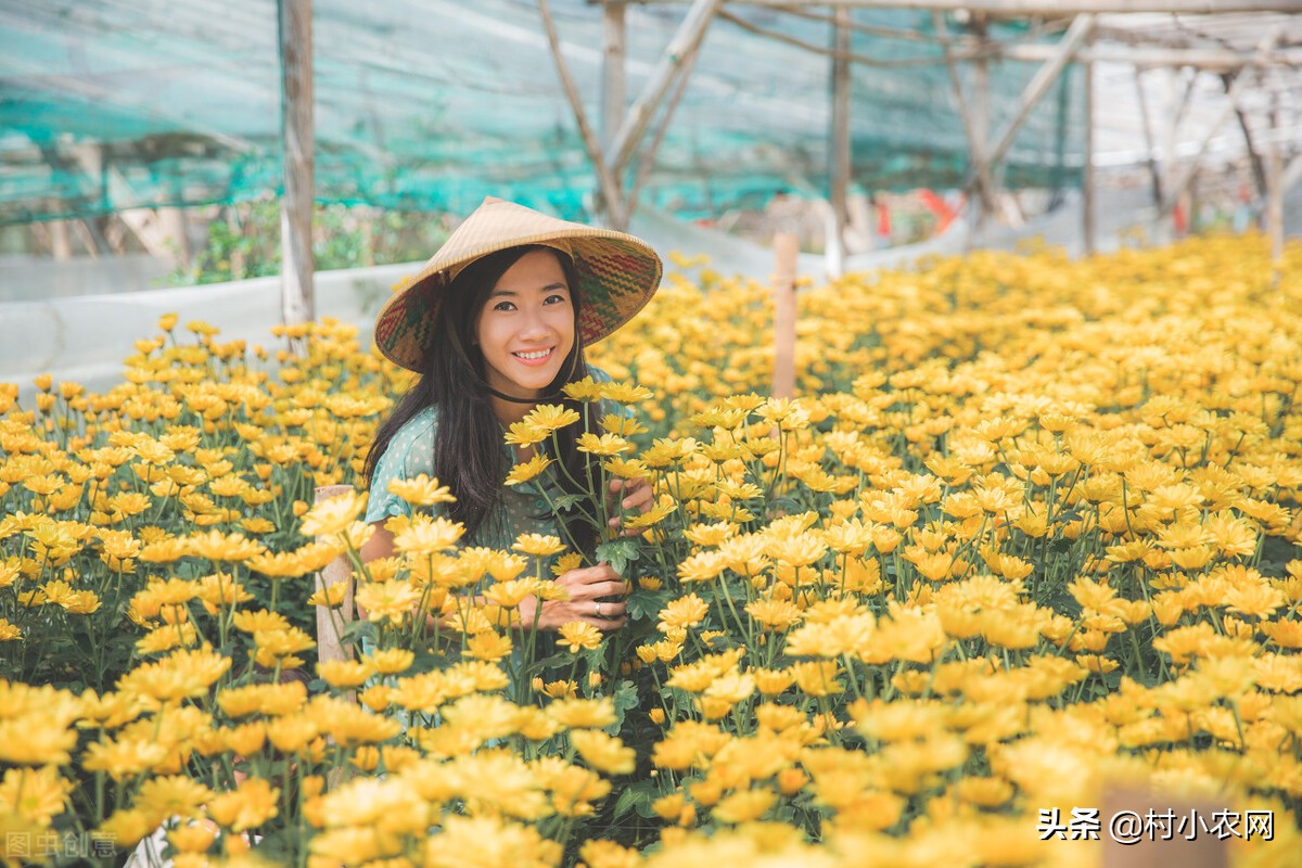 返乡创业农民可以试试这几个生意,农村返乡创业的真实详解