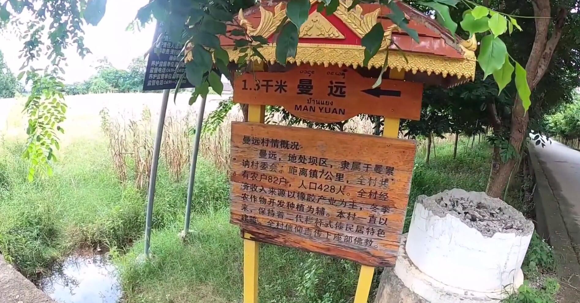西双版纳热带雨林导游,西双版纳热带雨林谷导游
