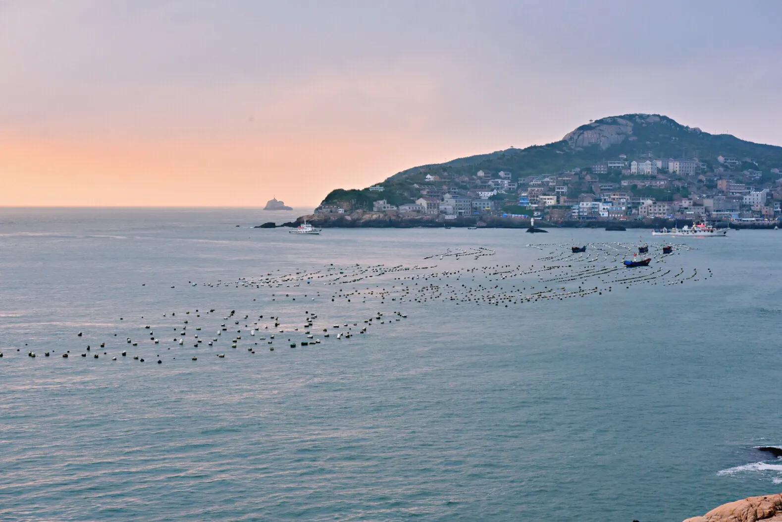 鍙版咕鍨︿竵娴峰矝,鍜屽彴婀惧灕涓佺浉浼肩殑娴峰矝