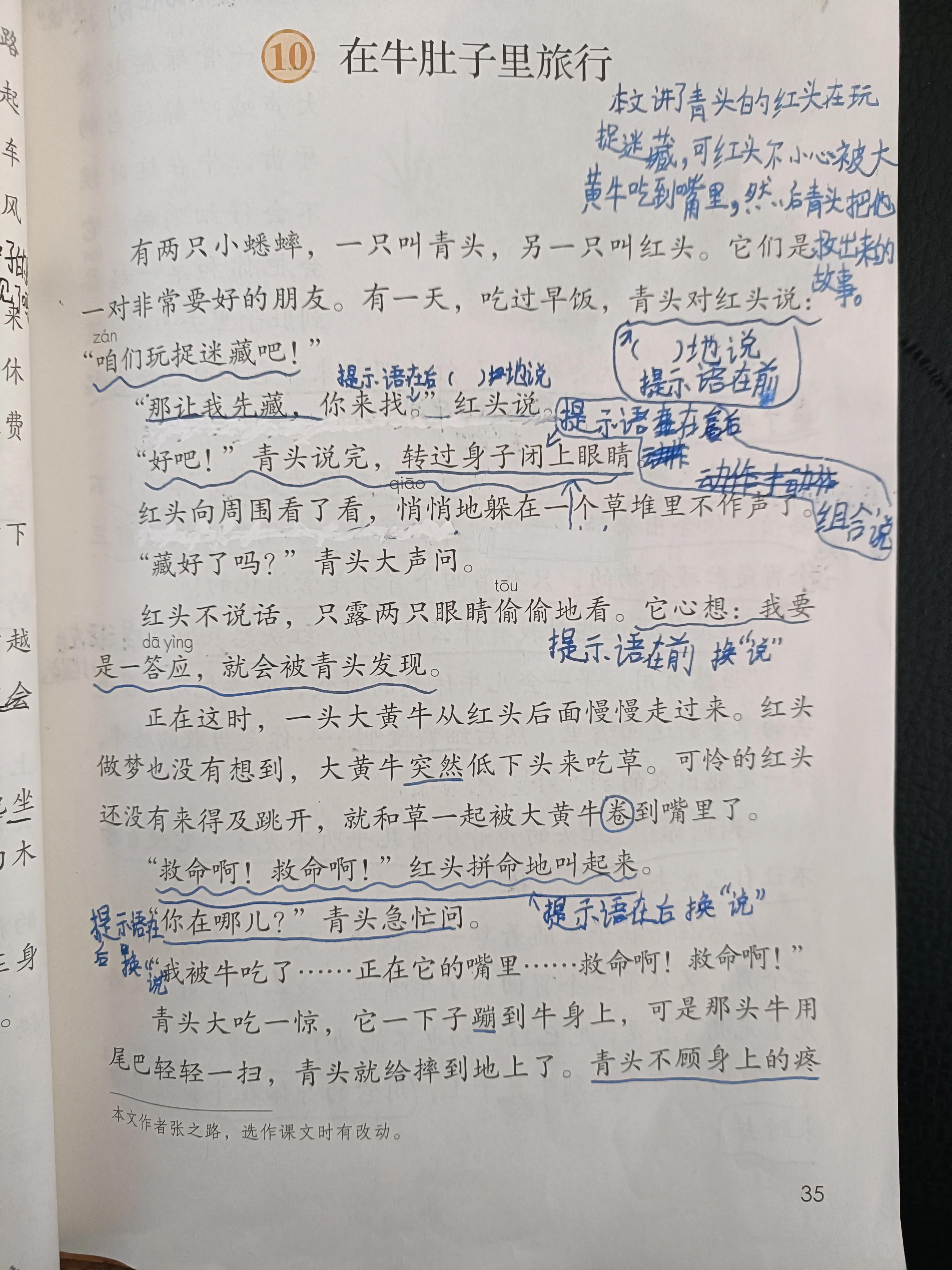 在牛肚子里旅行的提示语有哪些,提示语在中有什么作用