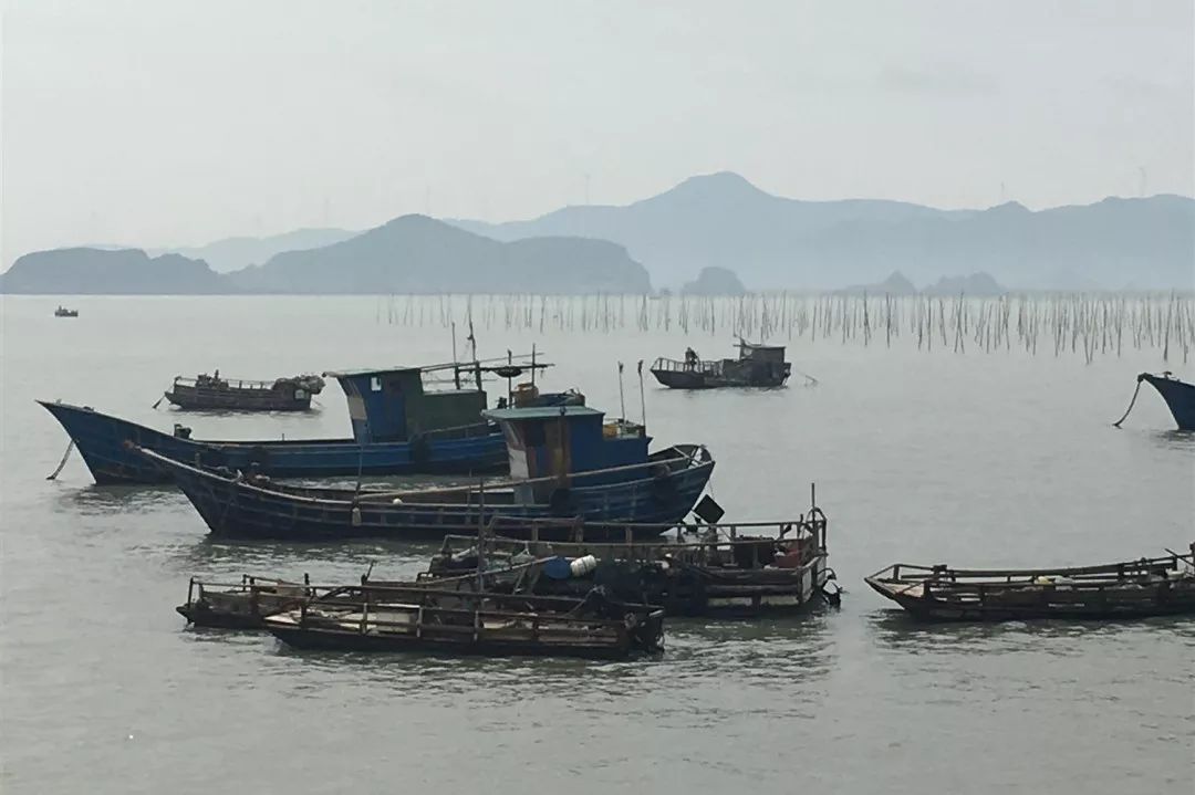 中关村小哥返乡直播“赌网”：每天东海漂四小时，创业十年终发达