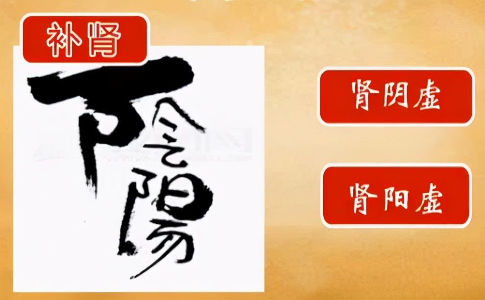 补肾养肾需分阴阳，肾阴虚、肾阳虚到底该如何区分？