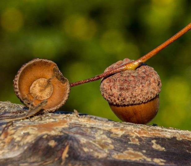 老祖宗教你怎样做人处事,为人处世必须明白的十大忌